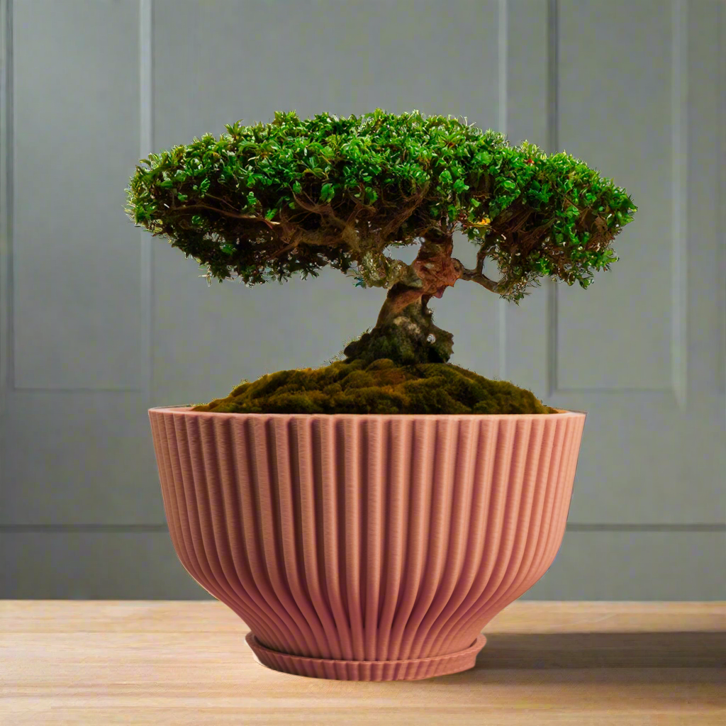 Bonsai Pot with Drainage & Tray by Rosebud HomeGoods