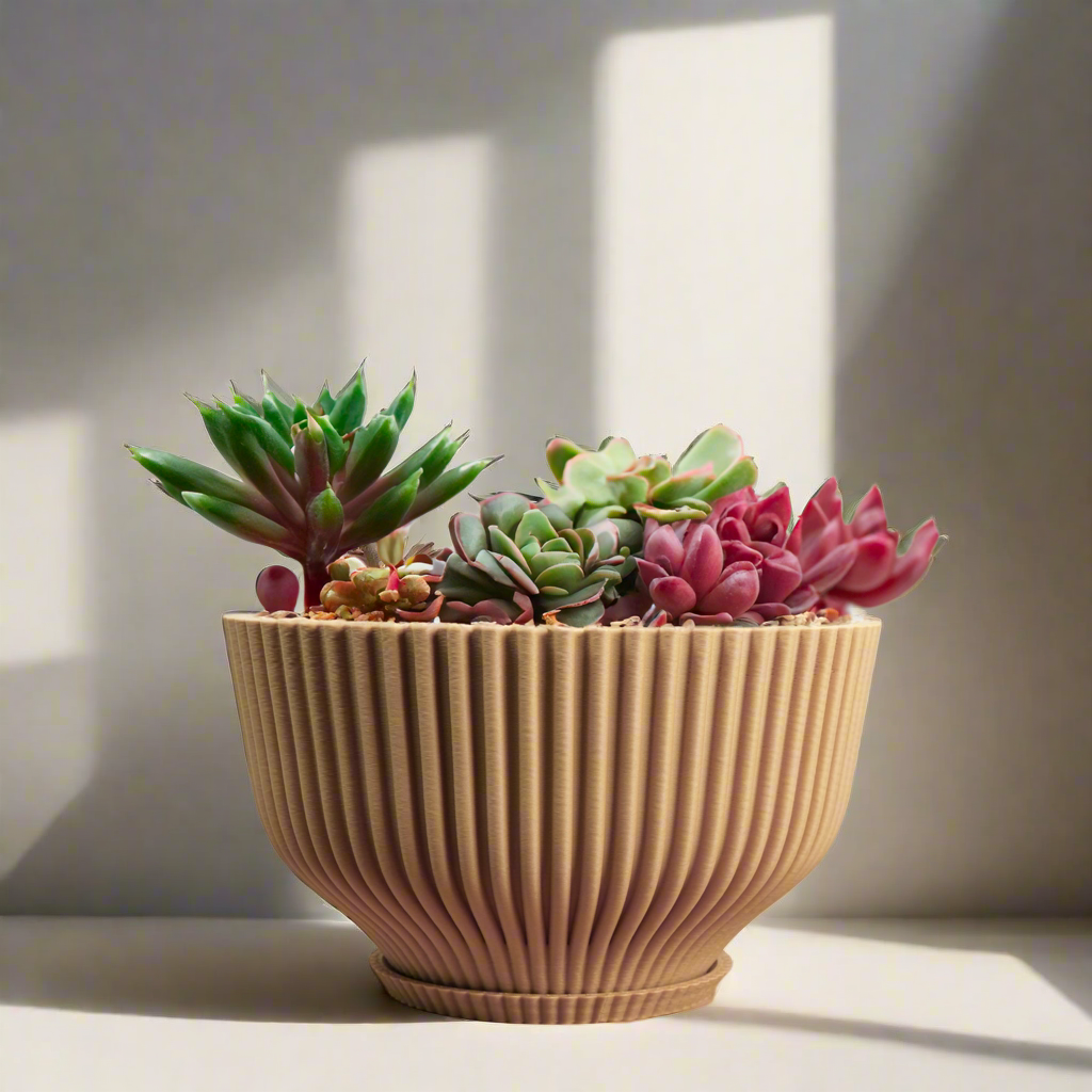 Bonsai Pot with Drainage & Tray by Rosebud HomeGoods