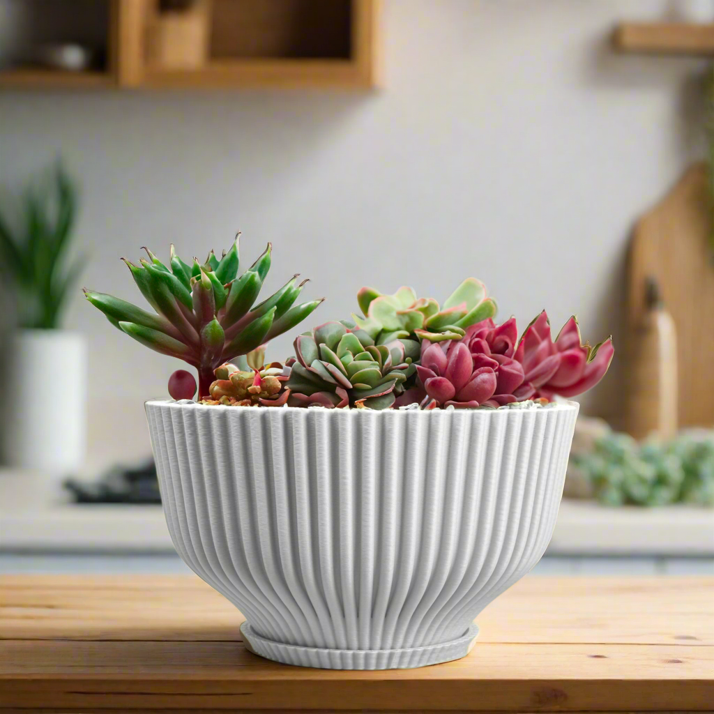 Bonsai Pot with Drainage & Tray by Rosebud HomeGoods