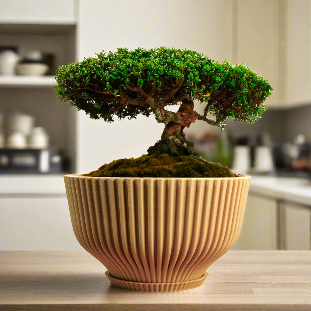 Bonsai Pot with Drainage & Tray by Rosebud HomeGoods