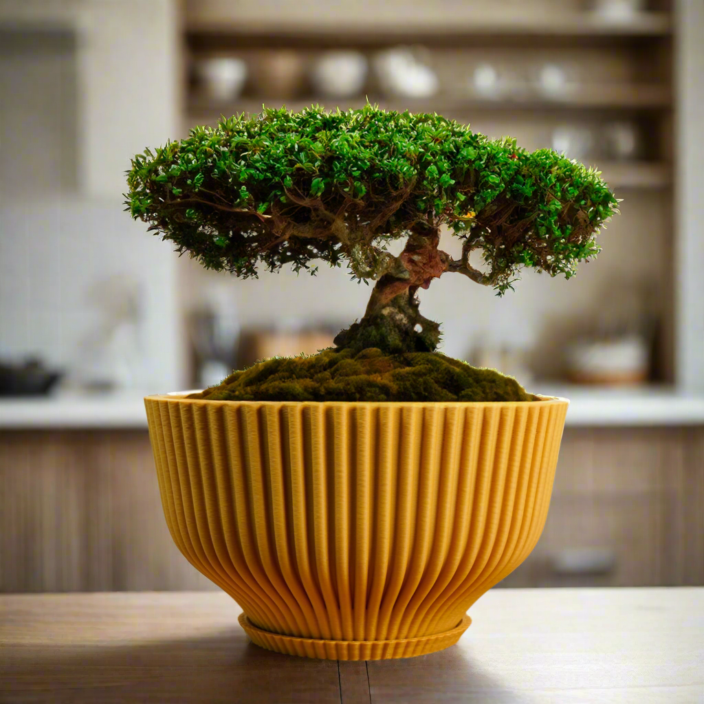 Bonsai Pot with Drainage & Tray by Rosebud HomeGoods