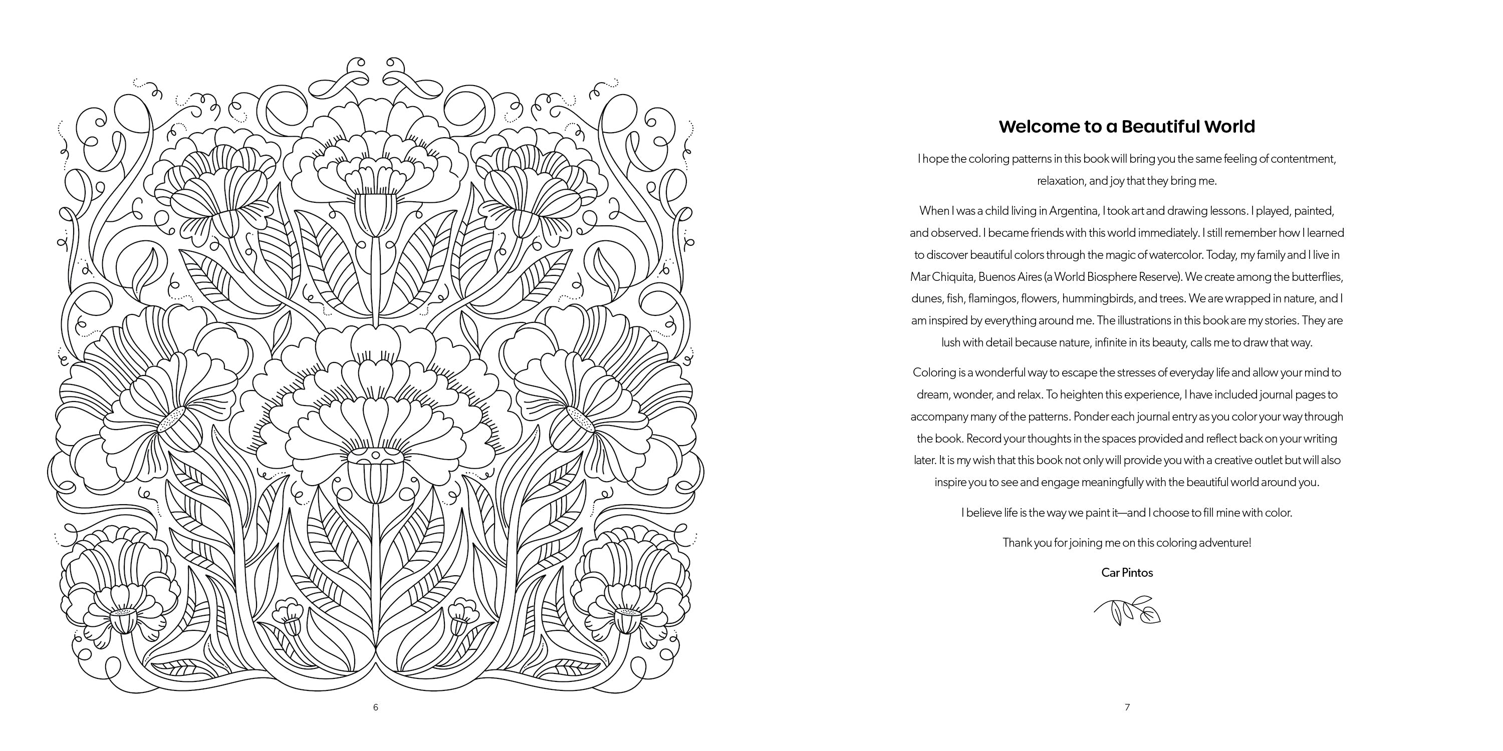 Beautiful World Coloring Book