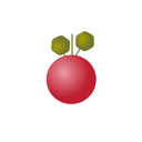 Acerola