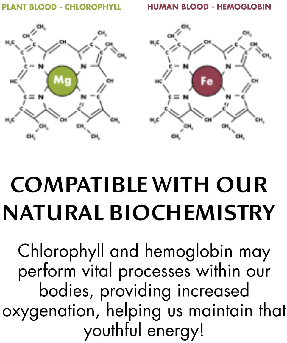 Chlorophyll Water® (2 Cases/24 Bottles) Purified Mountain Spring Water with Essential Vitamins by Chlorophyll Water