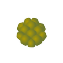 Artichoke Extract