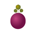 Beetroot