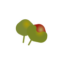 Caffeine Guarana