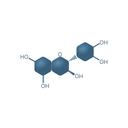 Catechin Extract