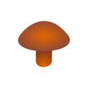 Chaga