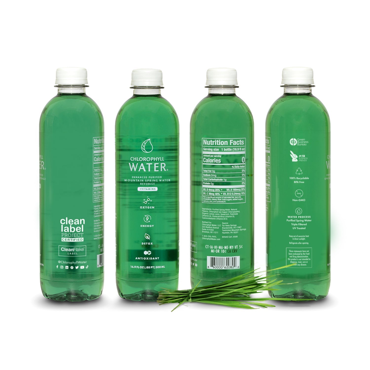 Chlorophyll Water® (2 Cases/24 Bottles) Purified Mountain Spring Water with Essential Vitamins by Chlorophyll Water