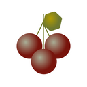 Cranberry