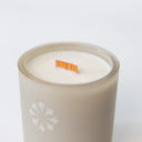 Cloud Forest Candle
