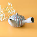 Handcrafted Japanese Kyusu Teapot with Filters (310ml) by Aprika Life