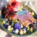 Supershroom Immunity Support Packets