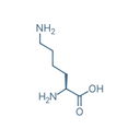 Lysine