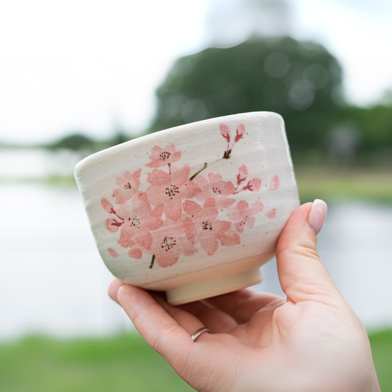 Maruyoshi Sakura Matcha Bowl by Aprika Life