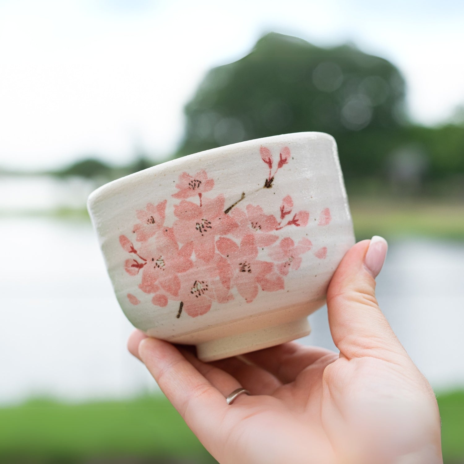 Maruyoshi Sakura Matcha Bowl by Aprika Life