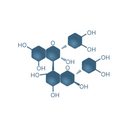 OPC (Oligomeric Proanthocyanidins)