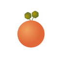 Orange Flavour