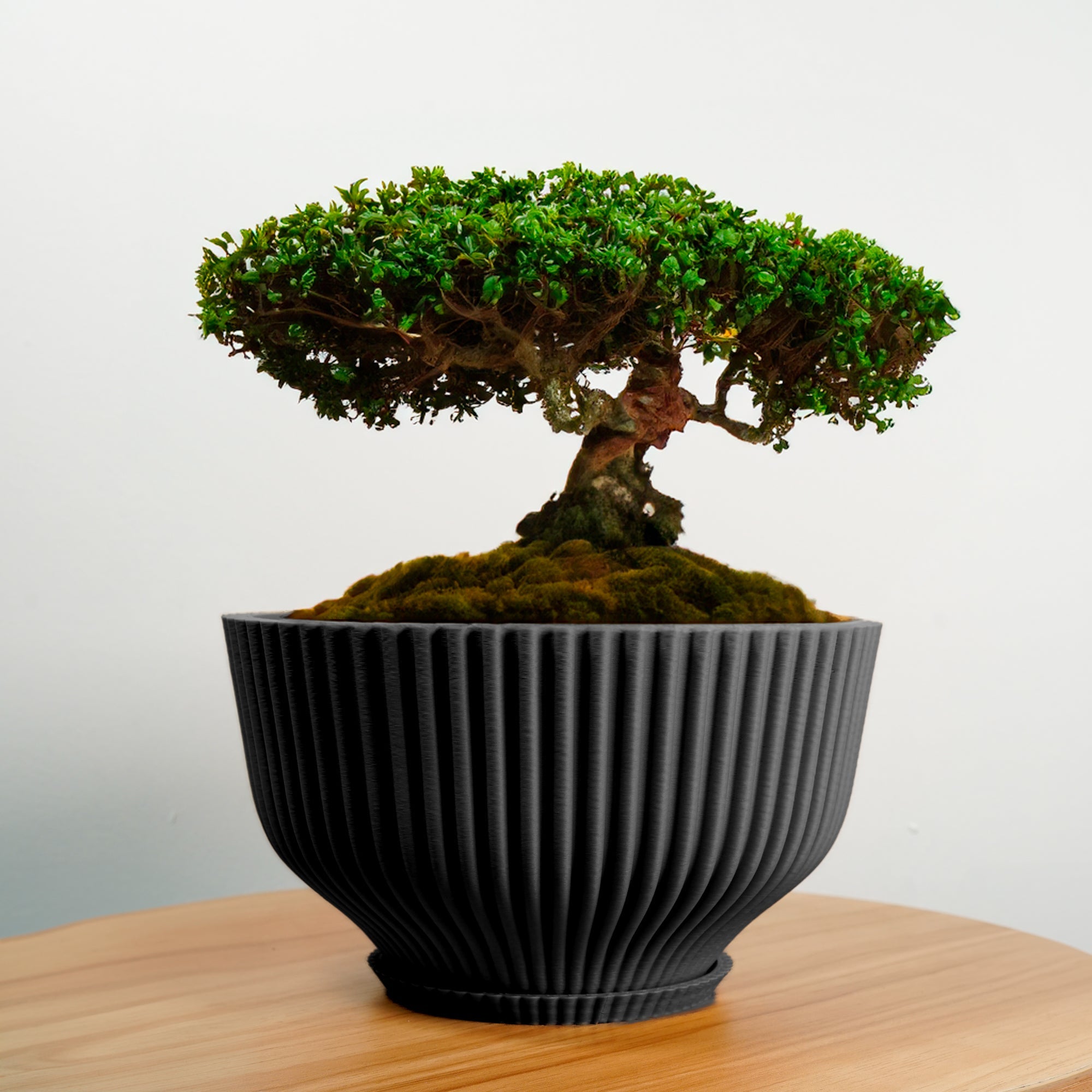 Bonsai Pot with Drainage & Tray by Rosebud HomeGoods