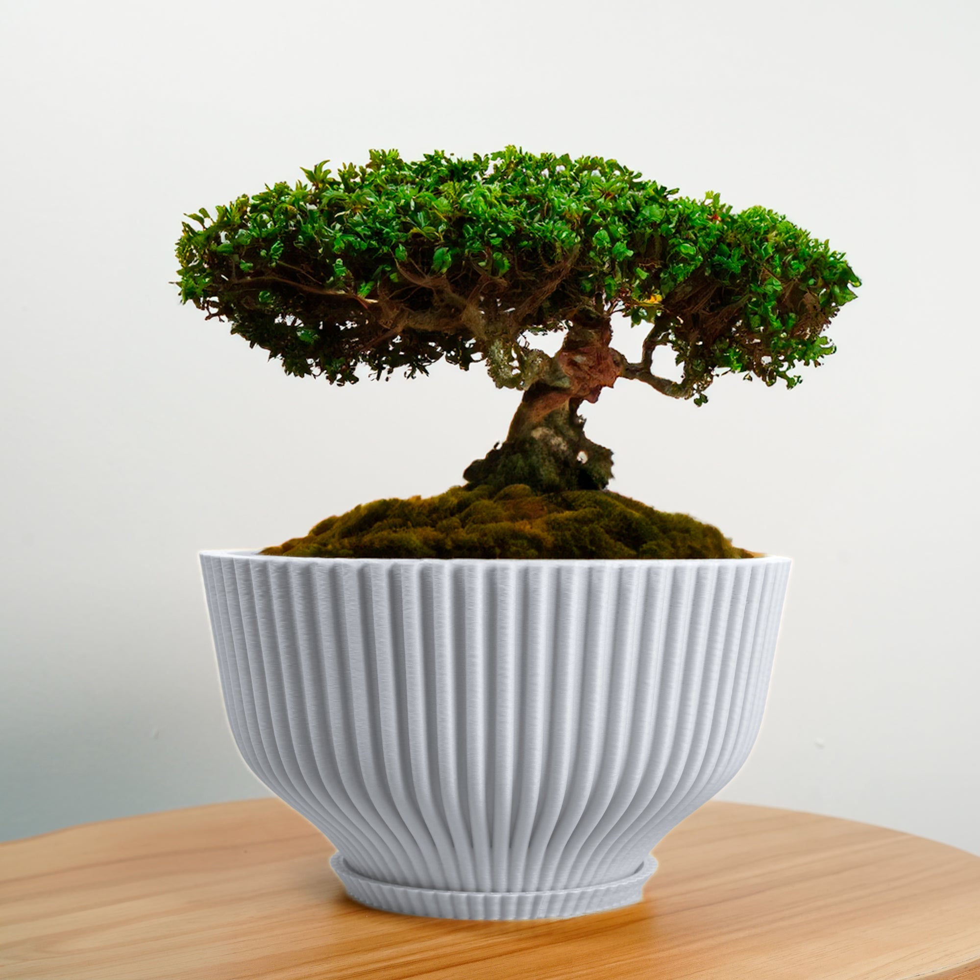 Bonsai Pot with Drainage & Tray by Rosebud HomeGoods