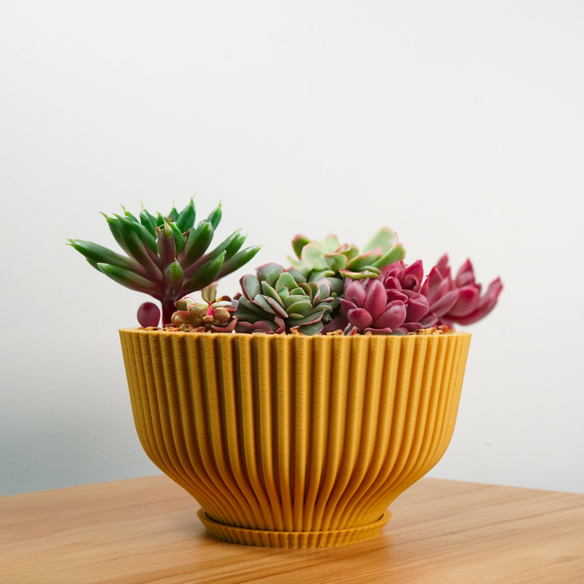 Bonsai Pot with Drainage & Tray by Rosebud HomeGoods