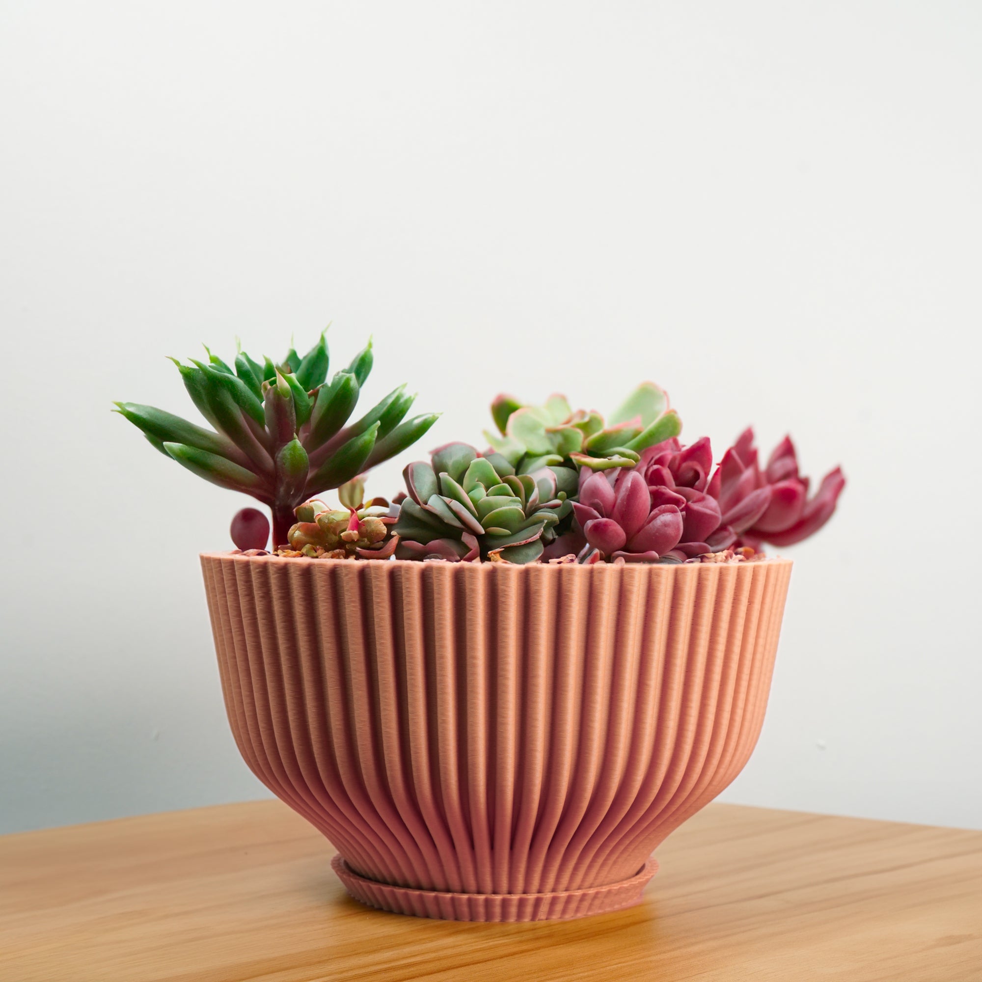 Bonsai Pot with Drainage & Tray by Rosebud HomeGoods