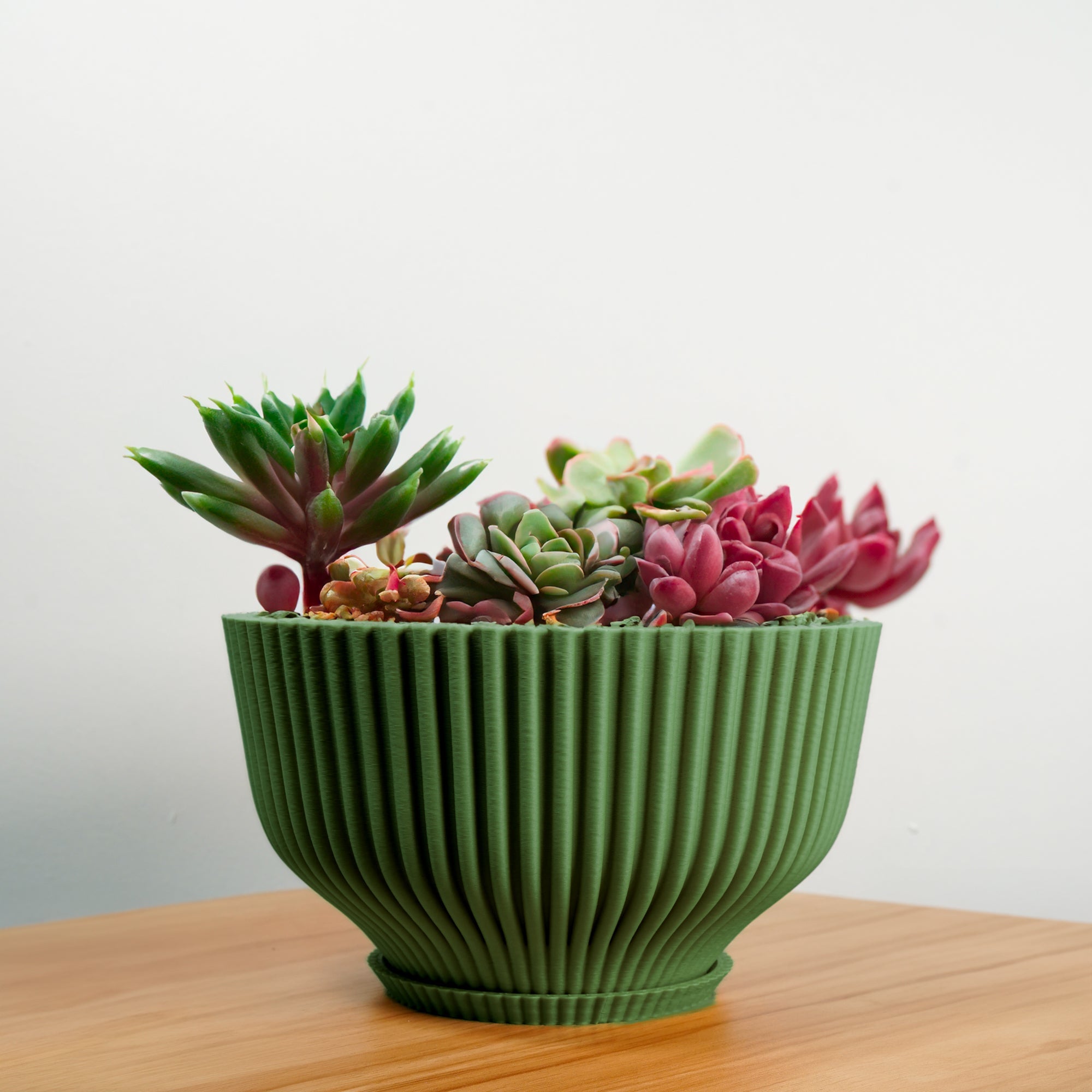 Bonsai Pot with Drainage & Tray by Rosebud HomeGoods