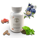 Neuro Plus Brain and Focus