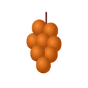Sea Buckthorn