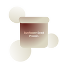 Sunflower Seed Protein