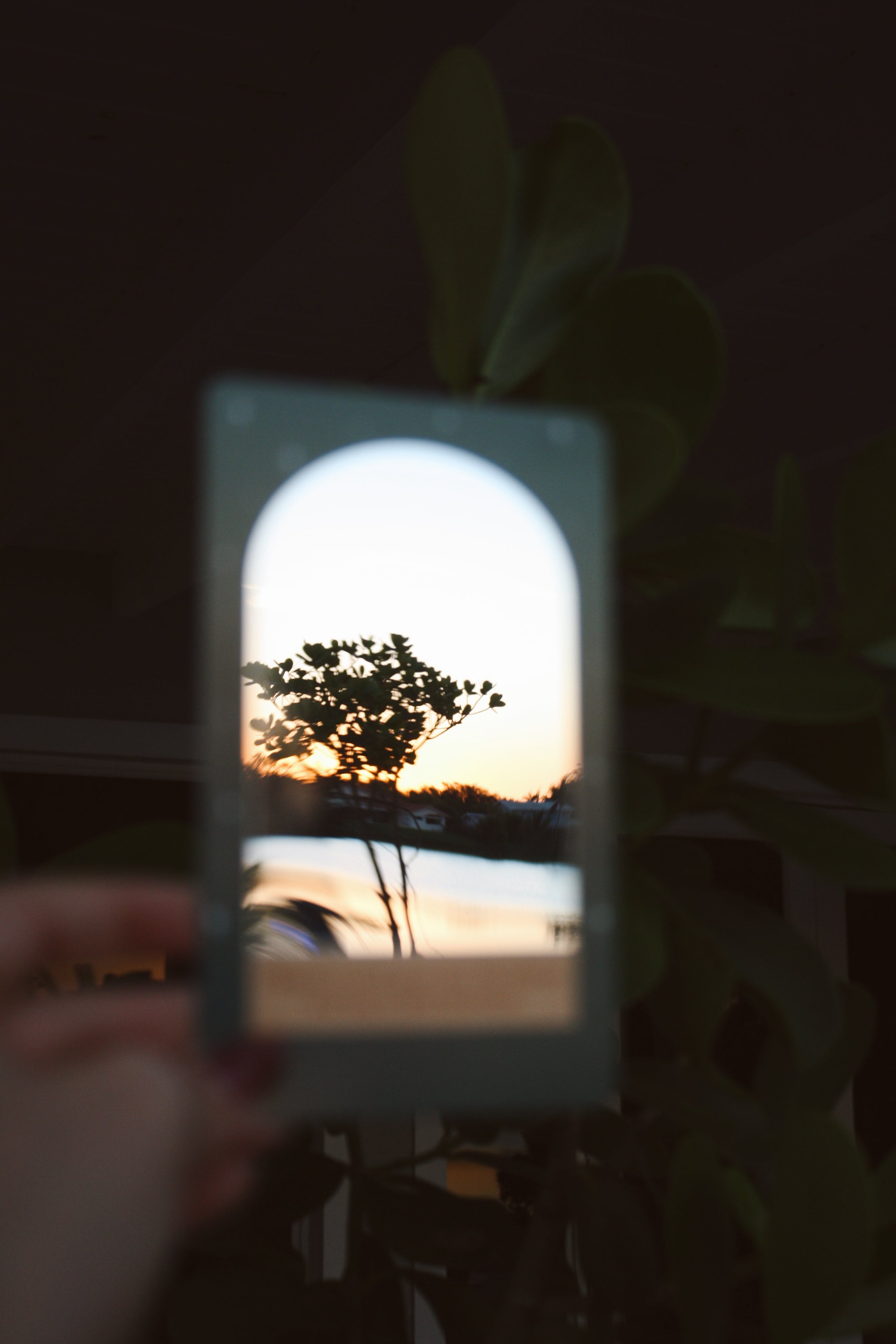 The Inner Glow Bundle