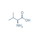 Valine