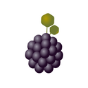 Wild Berry