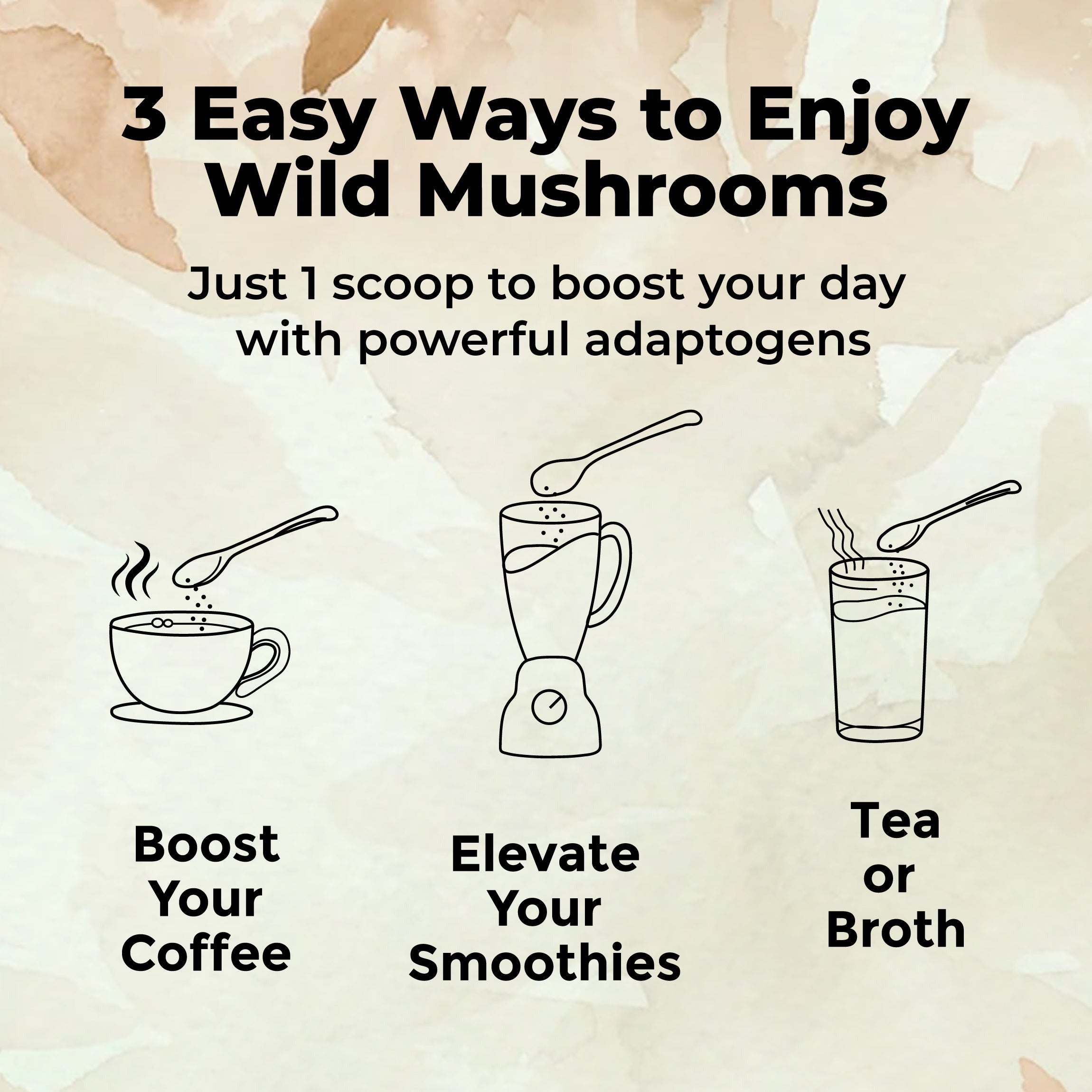 Master Five Mushrooms Blend - Adaptogens + Prebiotic Complex by Wild Foods