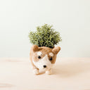 Corgi Succulent Pot - Handmade Planters | LIKHÂ by LIKHÂ