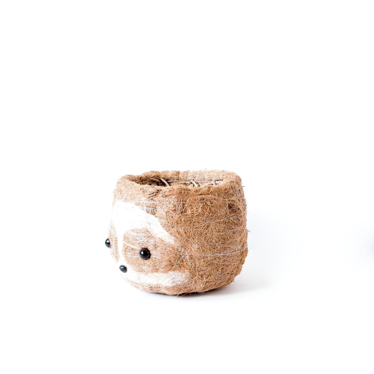 Large Coco Pot Large two-tone Sloth - Coco Coir Pots (6 inch) | LIKHÂ by LIKHÂ