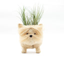 Westie Planter - Coco Coir Pots | LIKHÂ
