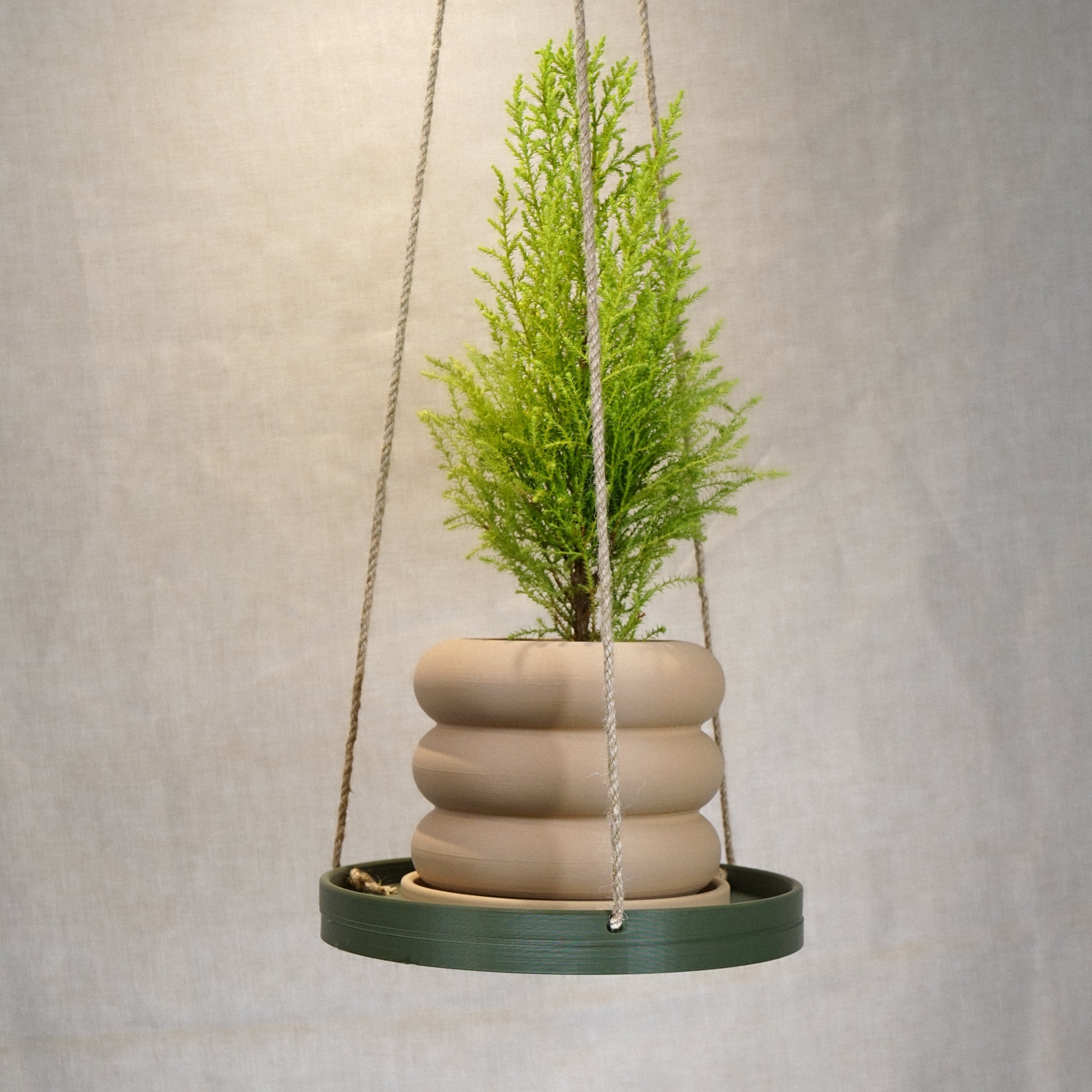 The Minimalist Hanging Plant Tray by Rosebud HomeGoods